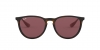 RB4171 Erika Sunglasses