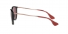 RB4171 Erika Sunglasses