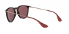 RB4171 Erika Sunglasses