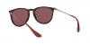 RB4171 Erika Sunglasses