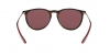 RB4171 Erika Sunglasses