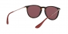 RB4171 Erika Sunglasses