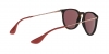 RB4171 Erika Sunglasses