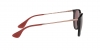 RB4171 Erika Sunglasses