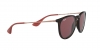 RB4171 Erika Sunglasses
