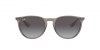 RB4171 Erika Sunglasses