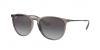 RB4171 Erika Sunglasses