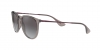 RB4171 Erika Sunglasses