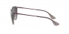 RB4171 Erika Sunglasses
