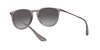 RB4171 Erika Sunglasses