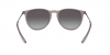 RB4171 Erika Sunglasses