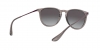 RB4171 Erika Sunglasses