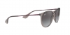 RB4171 Erika Sunglasses