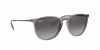 RB4171 Erika Sunglasses