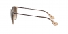 RB4171 Erika Sunglasses