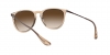 RB4171 Erika Sunglasses
