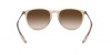RB4171 Erika Sunglasses