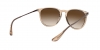RB4171 Erika Sunglasses