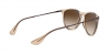 RB4171 Erika Sunglasses