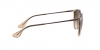 RB4171 Erika Sunglasses