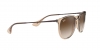 RB4171 Erika Sunglasses