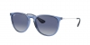 RB4171 Erika Sunglasses