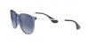RB4171 Erika Sunglasses
