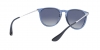 RB4171 Erika Sunglasses