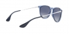 RB4171 Erika Sunglasses