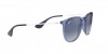 RB4171 Erika Sunglasses