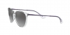 RB4171 Erika Sunglasses