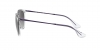 RB4171 Erika Sunglasses