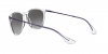 RB4171 Erika Sunglasses