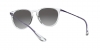 RB4171 Erika Sunglasses