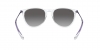 RB4171 Erika Sunglasses