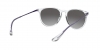 RB4171 Erika Sunglasses