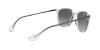 RB4171 Erika Sunglasses