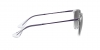 RB4171 Erika Sunglasses