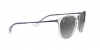 RB4171 Erika Sunglasses