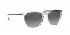 RB4171 Erika Sunglasses