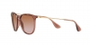 RB4171 Erika Sunglasses