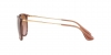 RB4171 Erika Sunglasses