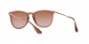 RB4171 Erika Sunglasses