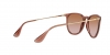 RB4171 Erika Sunglasses