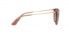 RB4171 Erika Sunglasses