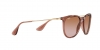 RB4171 Erika Sunglasses