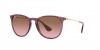 RB4171 Erika Sunglasses