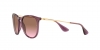 RB4171 Erika Sunglasses