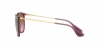 RB4171 Erika Sunglasses
