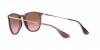 RB4171 Erika Sunglasses